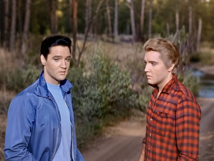 En Spin That No Editor Saw Coming Reveals The Shocking Secret